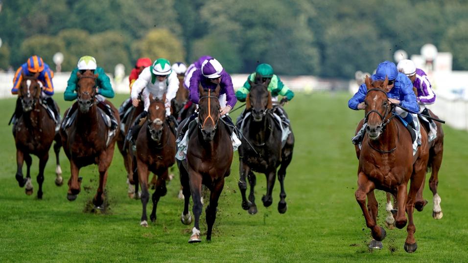 Hurricane Lane racing at Doncaster
